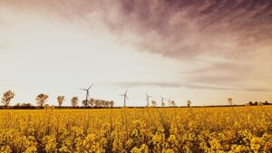 Bio-Heizöl: Was steckt dahinter?